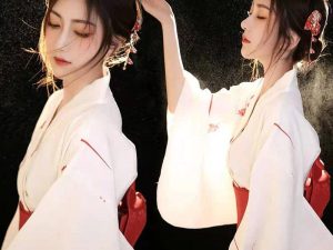 Kimono Long Blanc Nippon